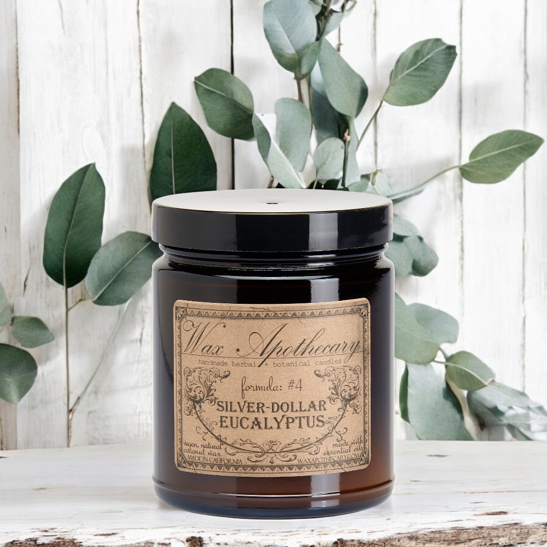 6 oz Botanical Candle in Amber Glass Jar - Silver-Dollar Eucalyptus