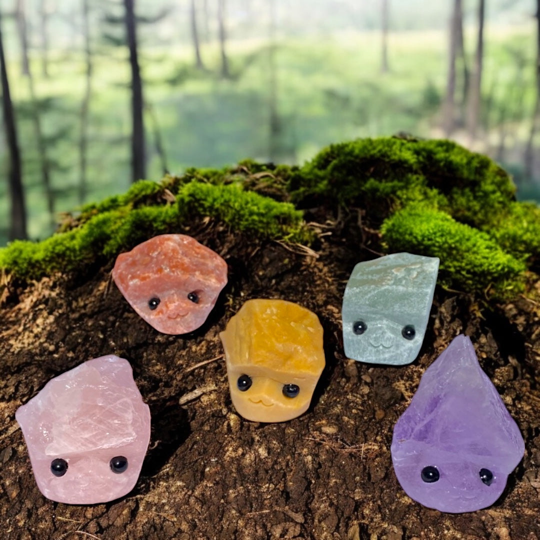 Stone Buddies & Rock Friends