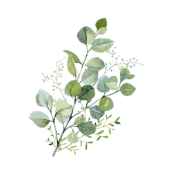 Photo of Wax Apothecary Eucalyptus Stem