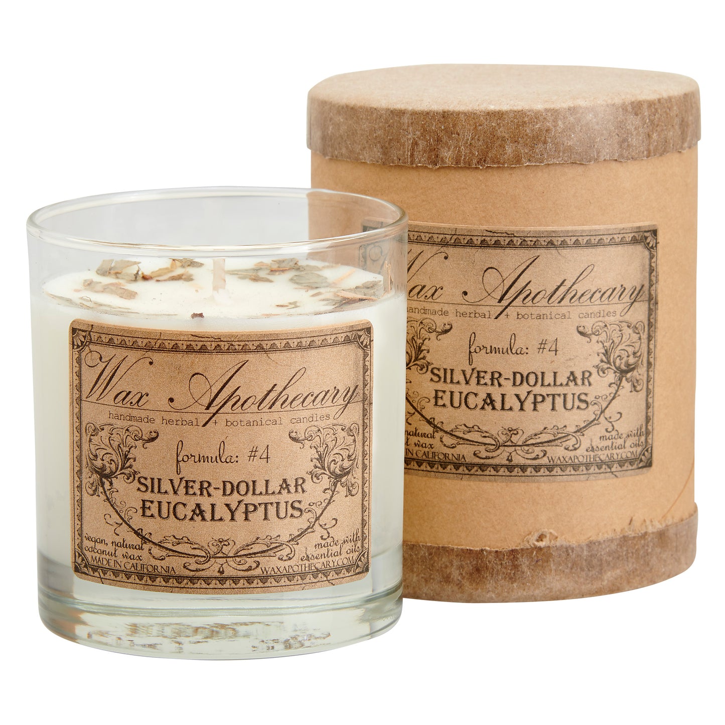 Silver-Dollar Eucalyptus 7 oz Botanical Candle in Scotch Glass
