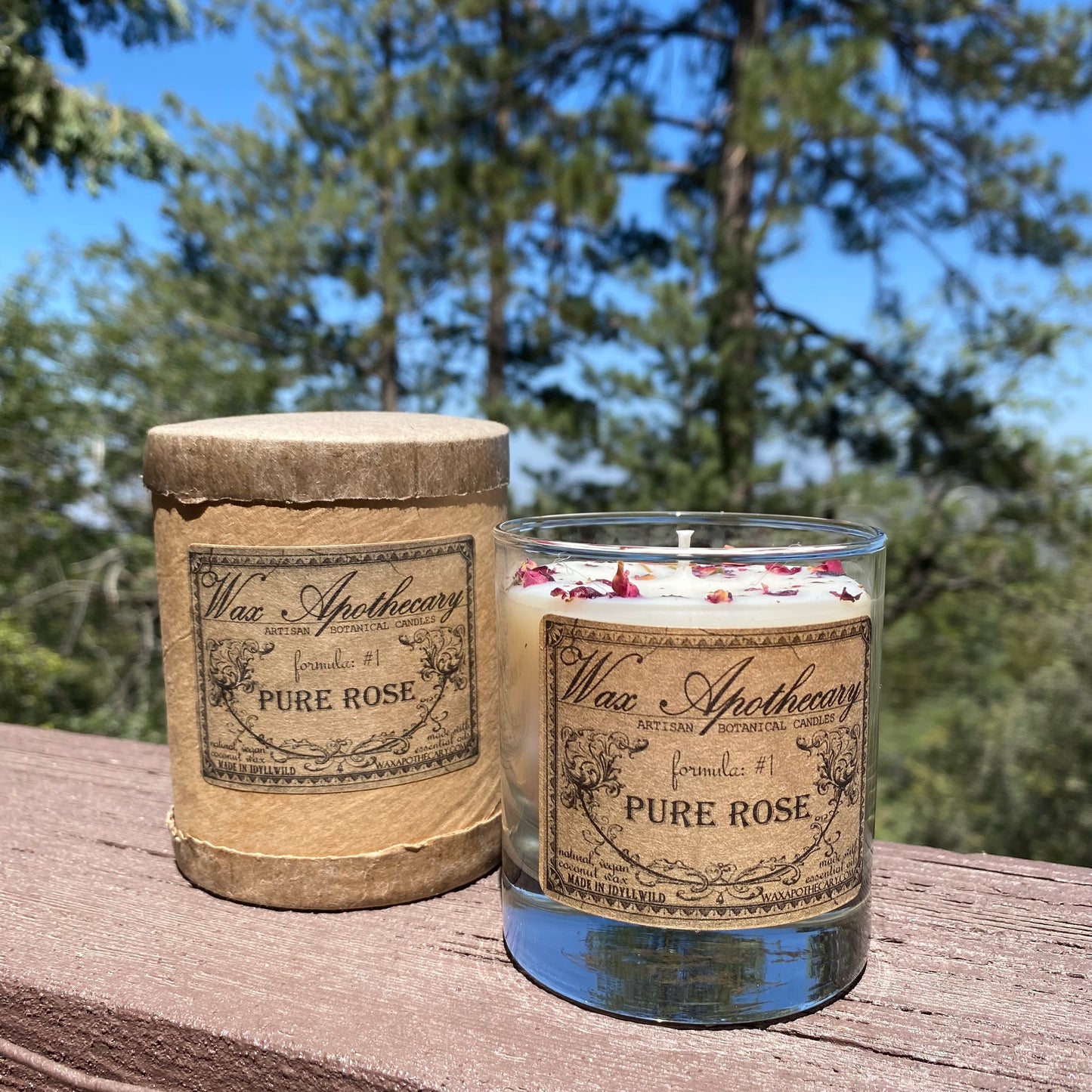Pure Rose 7 oz Botanical Candle in Scotch Glass