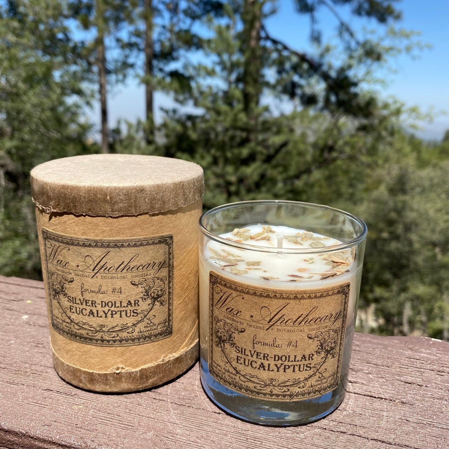 Silver-Dollar Eucalyptus 7 oz Botanical Candle in Scotch Glass