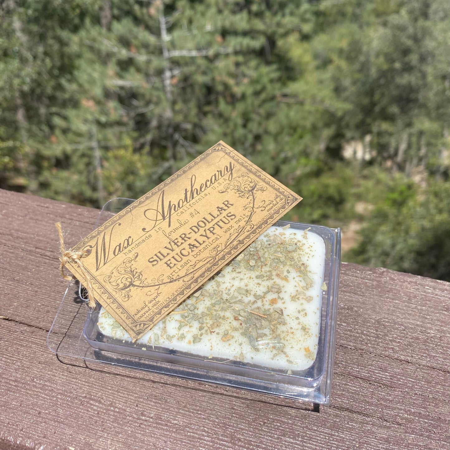 Silver-Dollar Eucalyptus Wax Melt