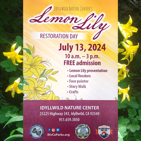 Lemon Lily Restoration Day Event : July 13th 2024