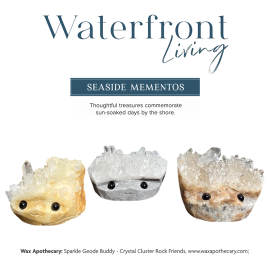 Featured in Waterfront Living Magazine 2025 🌊