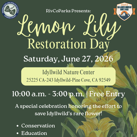 Lemon Lily Restoration Day 2026 – Botanical Candles, Conservation & Native Flower Celebration in Idyllwild