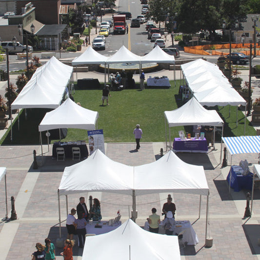 Temecula Wellness Festival 2015