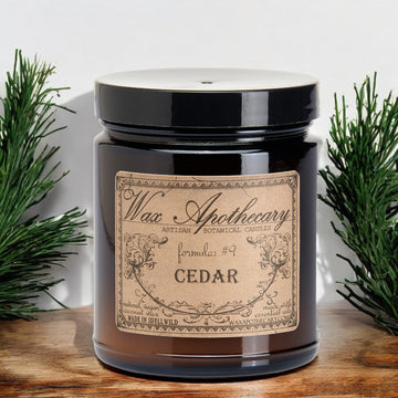 6 oz Botanical Candle in Amber Glass Jar - Cedar