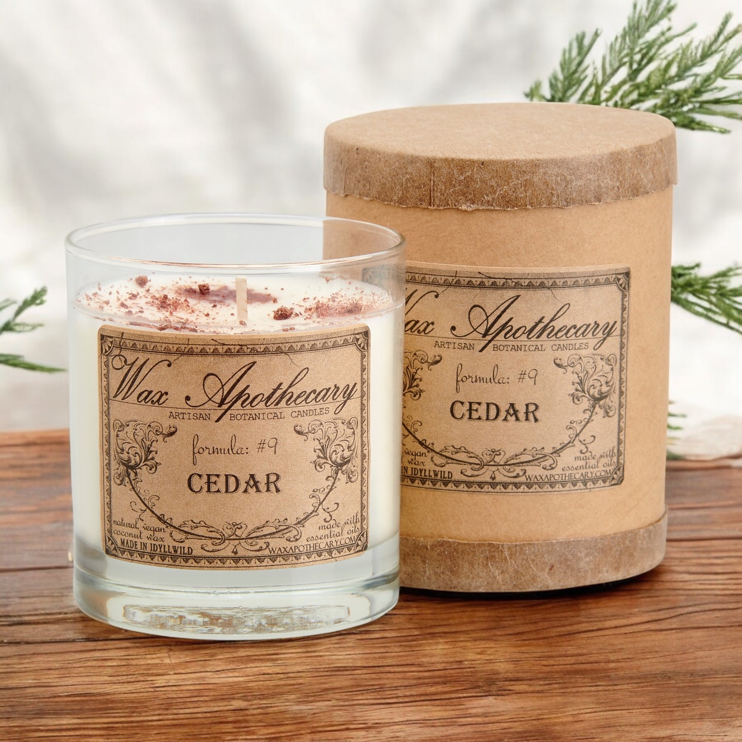 Cedar 7 oz Botanical Candle in Scotch Glass