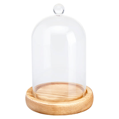 Cloche Glass Bell Jar with Solid Wood Base NEW SIZE