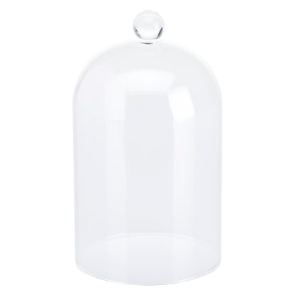 Cloche Glass Bell Jar with Solid Wood Base NEW SIZE