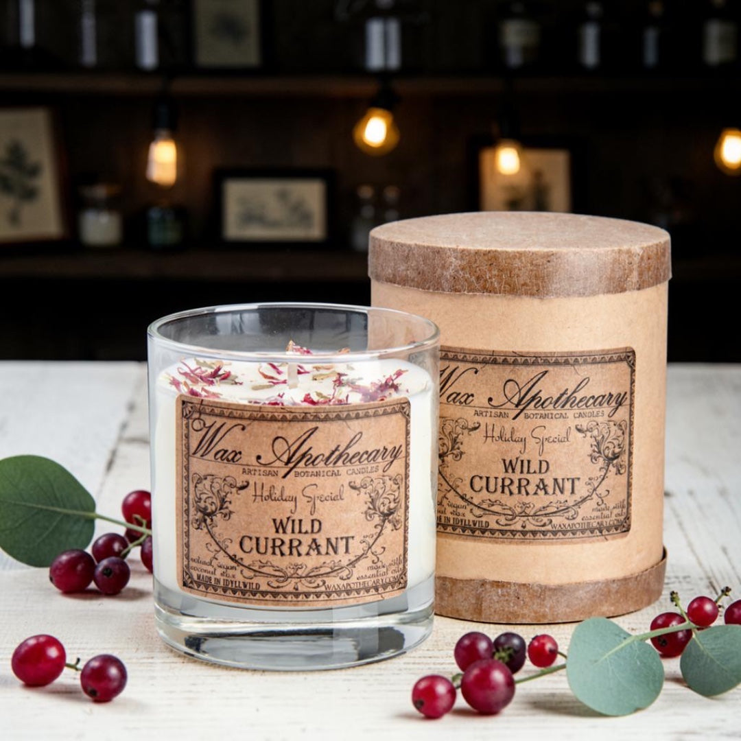 Winter Currant 7 oz Botanical Candle in Scotch Glass *Seasonal