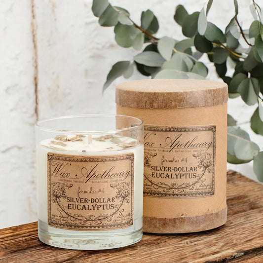 Silver-Dollar Eucalyptus 7 oz Botanical Candle in Scotch Glass