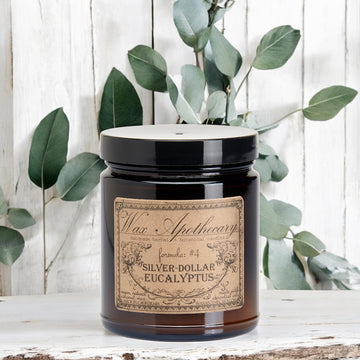 6 oz Botanical Candle in Amber Glass Jar - Silver-Dollar Eucalyptus