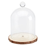 Cloche Glass Bell Jar NEW SIZE