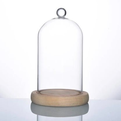 Cloche Glass Bell Jar NEW SIZE