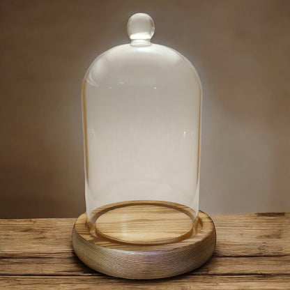 Cloche Glass Bell Jar NEW SIZE