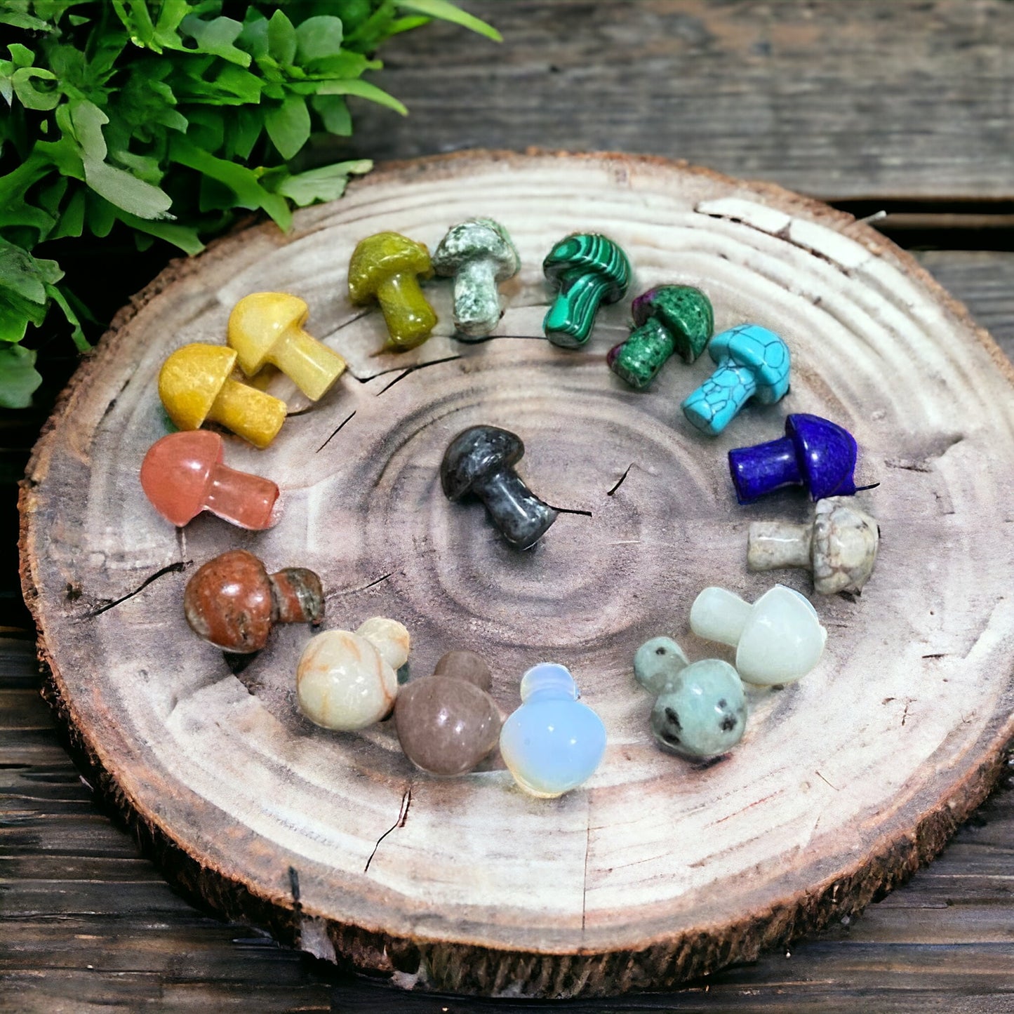 MUSHROOM HAND-CUT CRYSTAL GEMSTONE STONE (SET of 12)