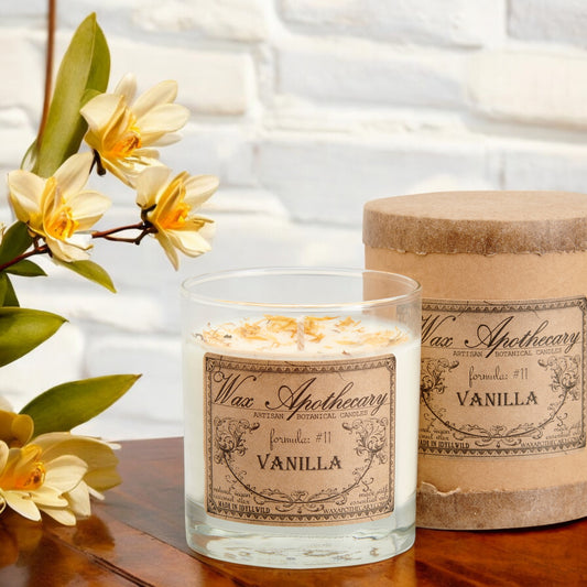 Vanilla 7 oz Botanical Candle in Scotch Glass