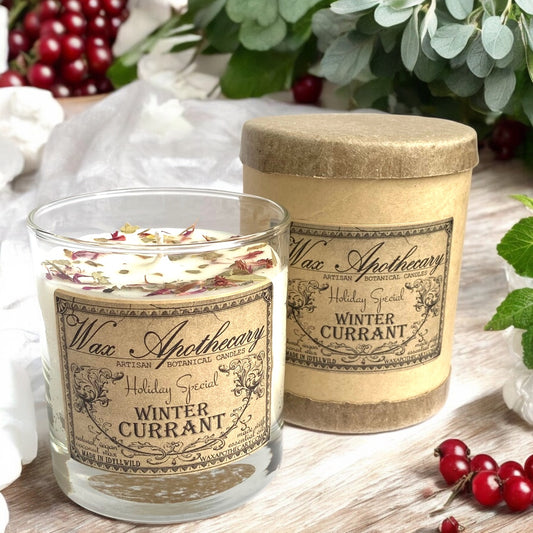 Winter Currant 7 oz Botanical Candle in Scotch Glass *Seasonal