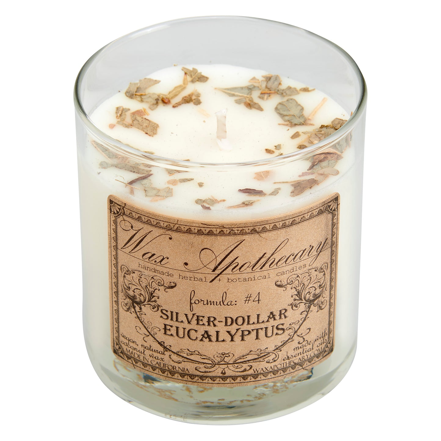 Silver-Dollar Eucalyptus 7 oz Botanical Candle in Scotch Glass