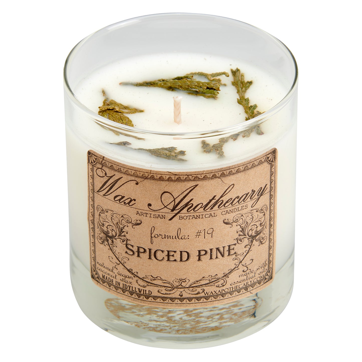 Spiced Pine 7 oz Botanical Candle in Scotch Glass *Seasonal