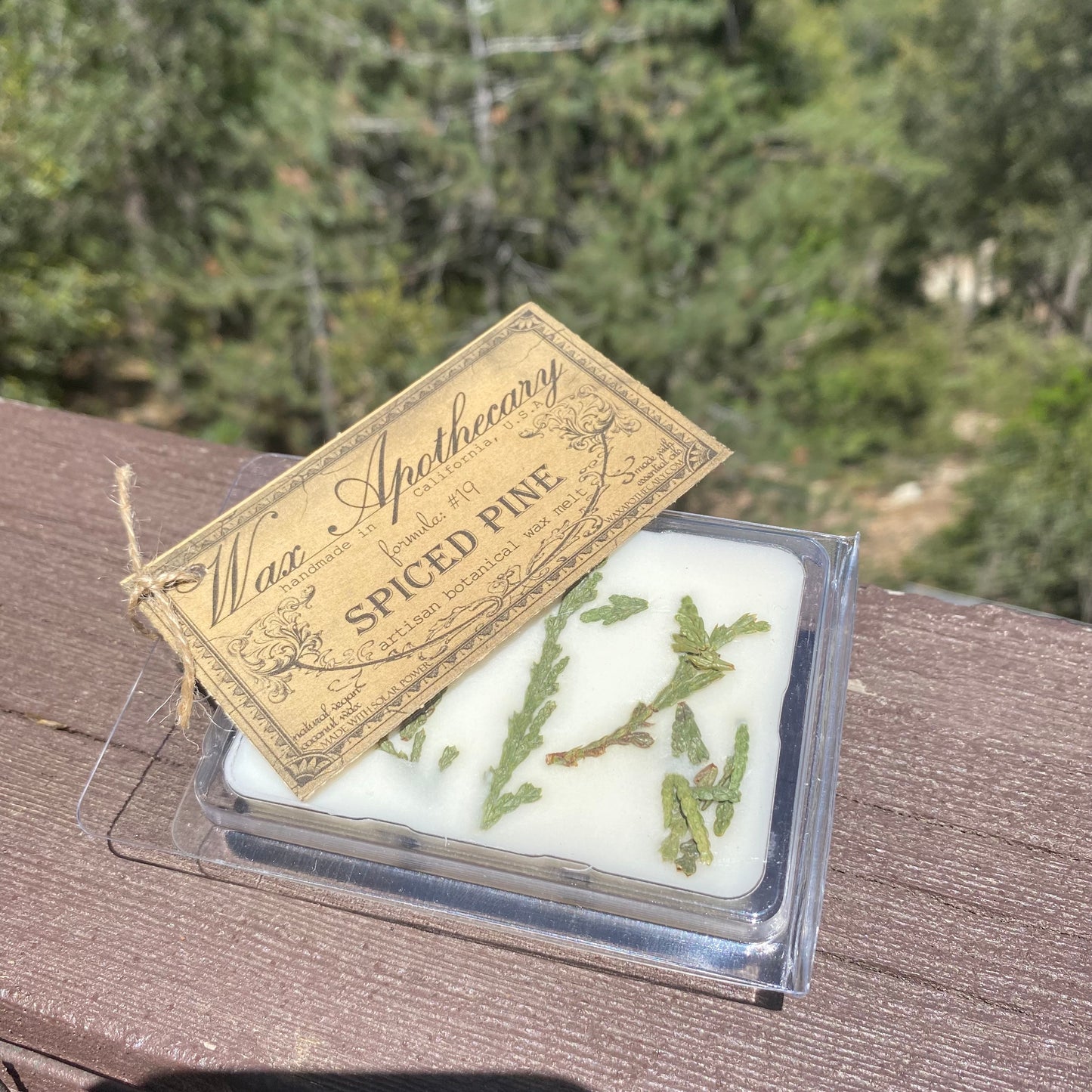 Spiced Pine Wax Melt *Seasonal