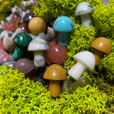 1 Mushroom Hand-cut Gemstone Crystal Stone