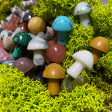 Assortment of 12 Crystal Mushroom Hand-cut Stones
